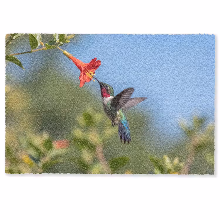 Kolibrie - Bloem - Natuur - Groen Deurmat klein -zkaufland3d