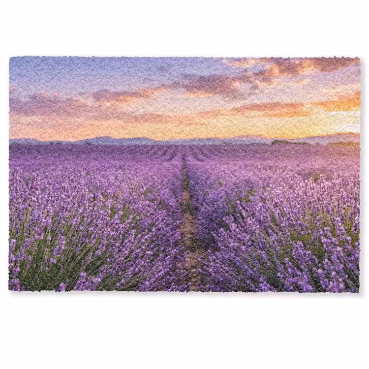 Lavendel - Veld - Natuur - Paars Deurmat klein -zkaufland3d