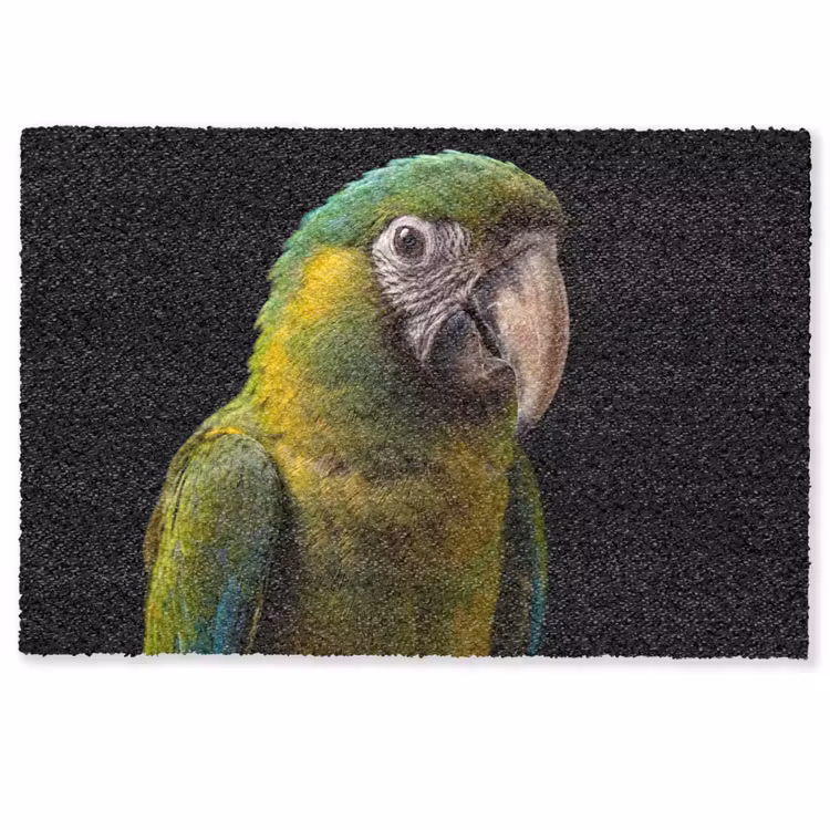 Ara - Portret - Groen Deurmat klein -zkaufland3d