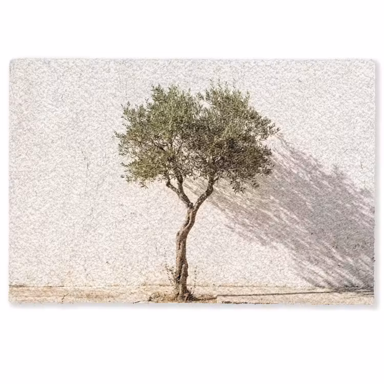 Doormat - Olive Tree - Wall - White - Olijfboom - muur - wit Deurmat klein