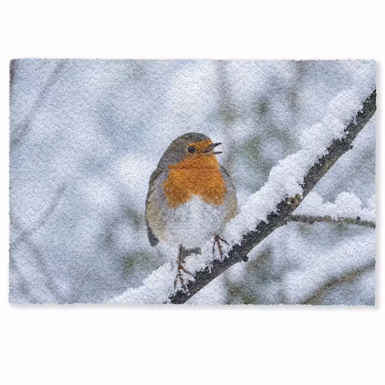 Roodborstje - Tak - Sneeuw - Winter - Levendig Deurmat klein -zkaufland3d