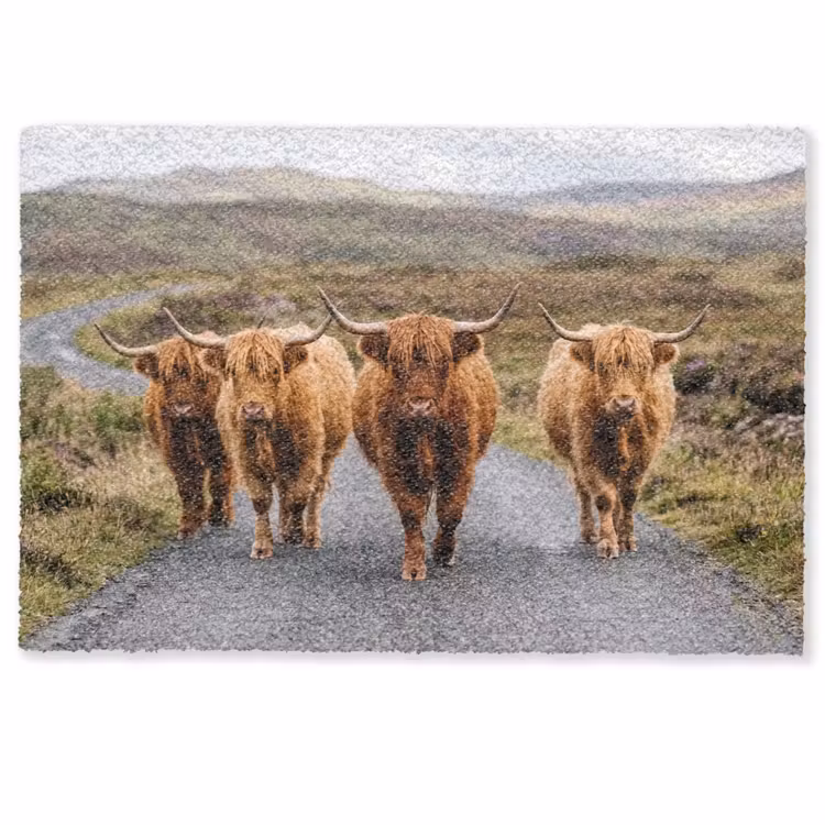 Schotse Hooglanders - Weg - Landschap - Kudde Deurmat klein -zkaufland3d