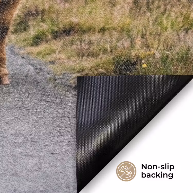 Schotse Hooglanders - Weg - Landschap - Kudde Deurmat klein -antislip_EN