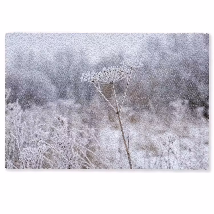 Schermbloem - Rijp - Kristallen - Winter - Delicaat Deurmat klein -zkaufland3d