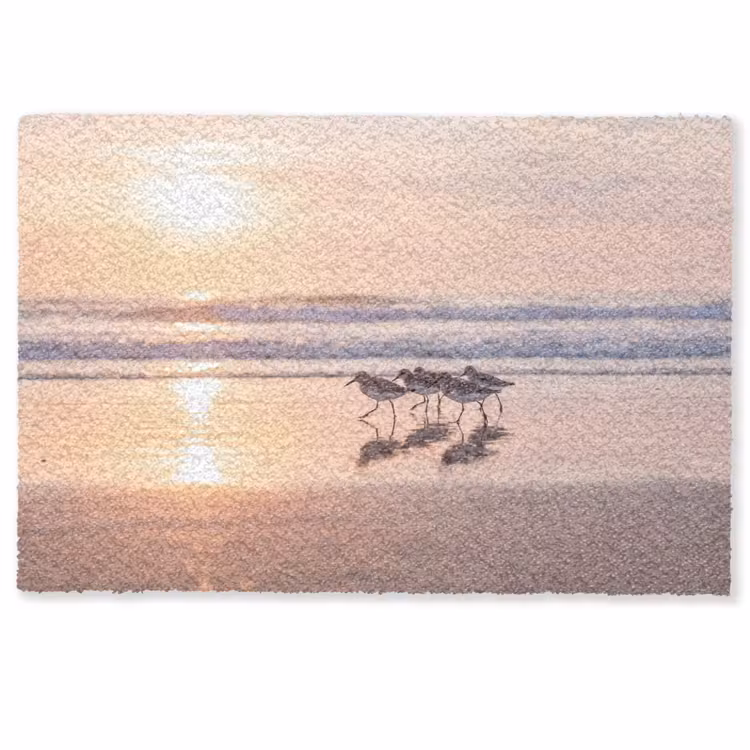 Zee - Vogels - Strand Deurmat klein -zkaufland3d