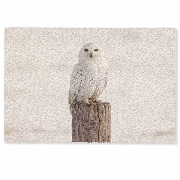 Sneeuwuil - Paal - Winter - Portret - Majestueus Deurmat klein -zkaufland3d