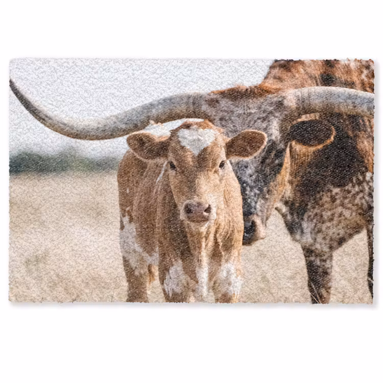 Texas Longhorn - Kalf - Weide - Dieren Deurmat klein -zkaufland3d