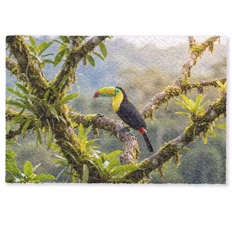 Toekan - Jungle - Natuur - Kleurrijk Deurmat klein -zkaufland3d