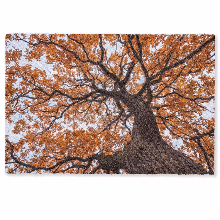 Boom - Bladerdak - Herfst - Oranje - Sfeervol Deurmat klein -zkaufland3d