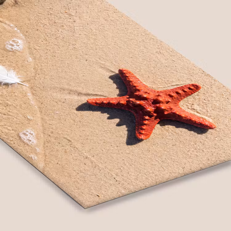 Dieren - Strand - Zee - Natuur - Rood fotolijst zwart zonder passe partout klein -zsfeer6