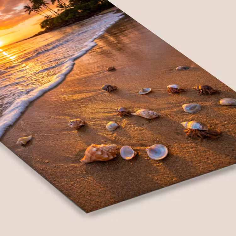 Strand - Zonsondergang - Palmbomen - Natuur - Oranje fotolijst zwart zonder passe partout klein -zsfeer6
