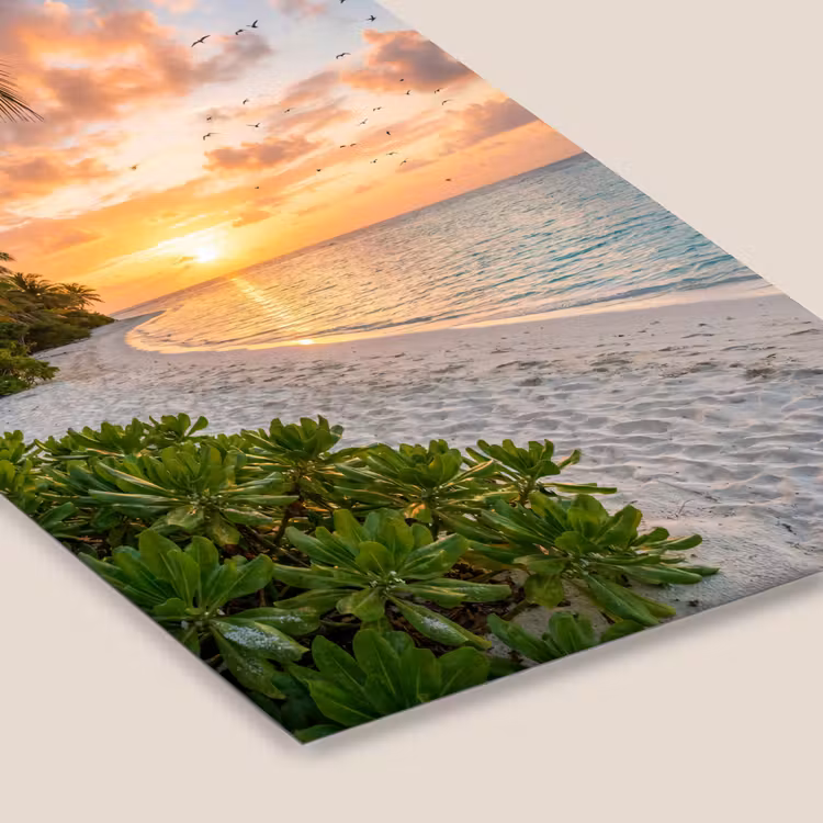 Strand - Zonsondergang - Palmbomen - Tropisch - Natuur fotolijst zwart zonder passe partout klein -zsfeer6