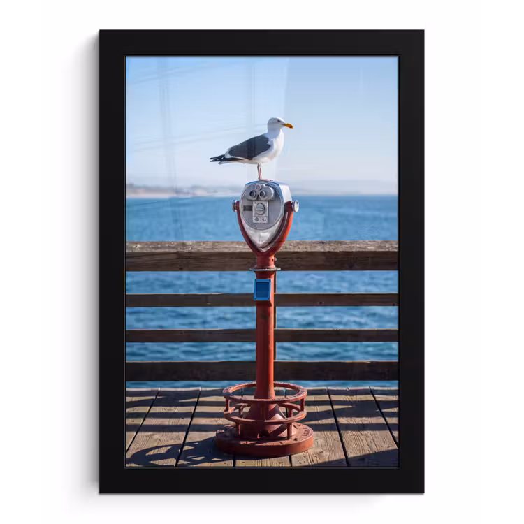 Vogel - Verrekijker - Kust - Zee - Blauw fotolijst zwart zonder passe partout klein -3d