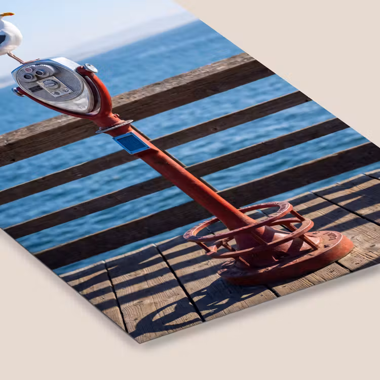Vogel - Verrekijker - Kust - Zee - Blauw fotolijst zwart zonder passe partout klein -zsfeer6