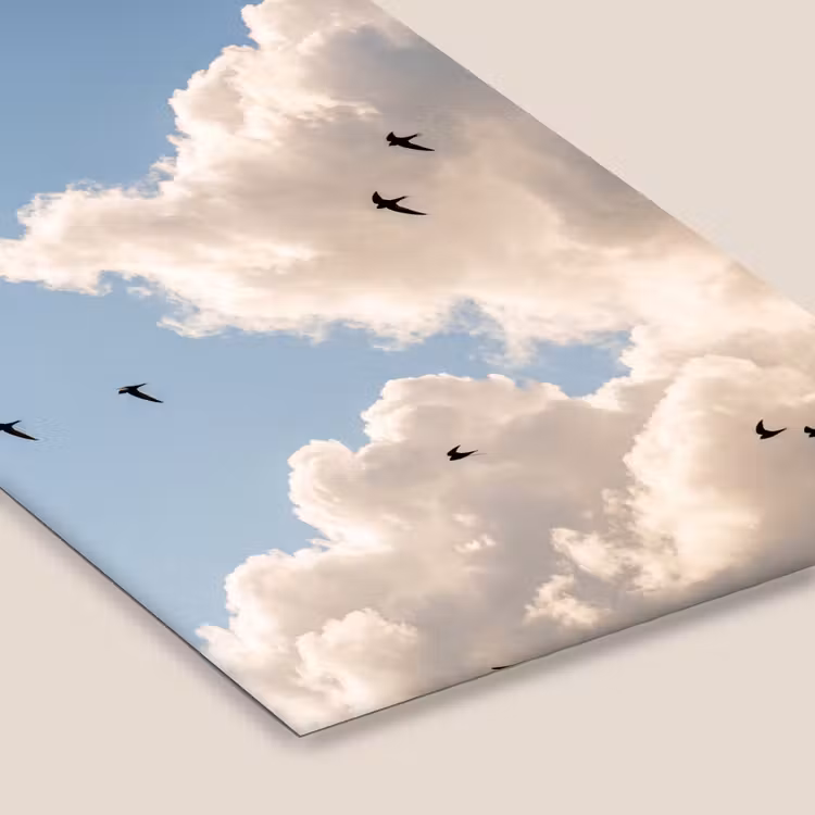 Vogel - Vlucht - Wolken - Natuur - Blauw fotolijst zwart zonder passe partout klein -zsfeer6