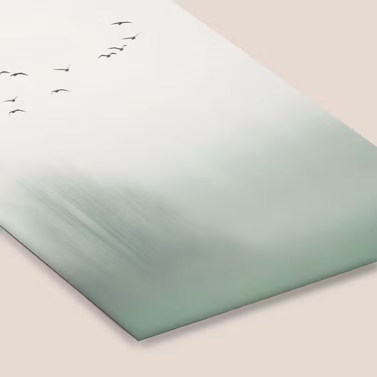 Vogel - Vlucht - Natuur - Minimalistisch fotolijst zwart zonder passe partout klein -zsfeer6