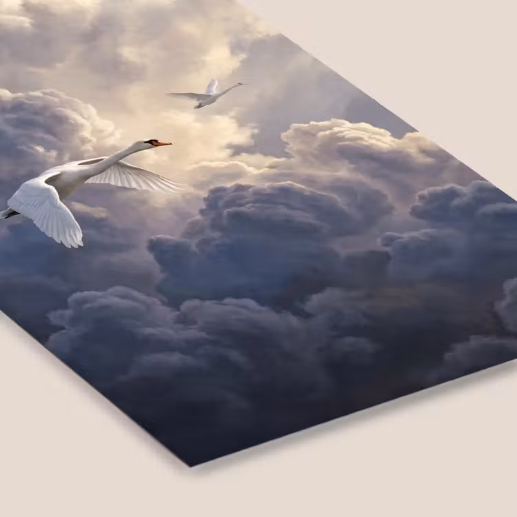 Vogel - Vliegend - Natuur - Wit - Wolken fotolijst zwart zonder passe partout klein -zsfeer6
