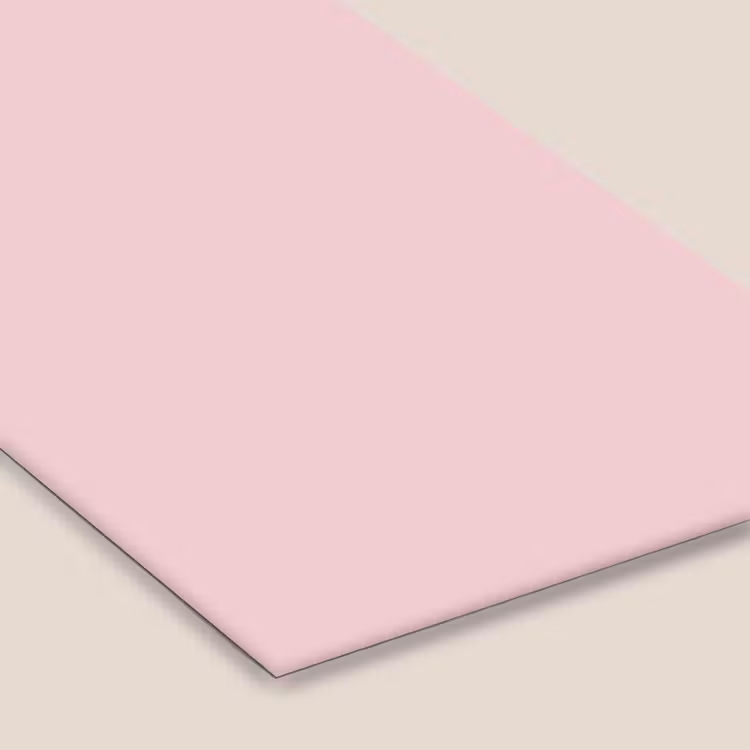 Blush - Pink - Roze fotolijst zwart zonder passe partout klein 224 -zsfeer6