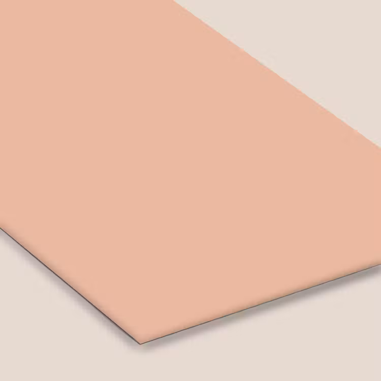 Blush - Terracotta - Nude fotolijst zwart zonder passe partout klein 224 -zsfeer6