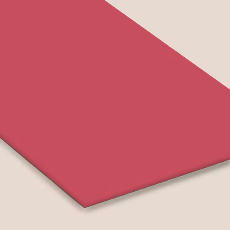 Bold - Berry - Rood fotolijst zwart zonder passe partout klein 224 -zsfeer6