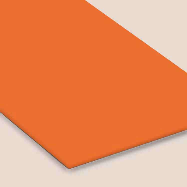 Burnt - Sienna - Oranje fotolijst zwart zonder passe partout klein 224 -zsfeer6