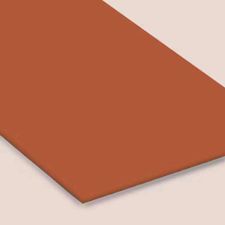 Burnt - Sienna - Oranje fotolijst zwart zonder passe partout klein 224 -zsfeer6
