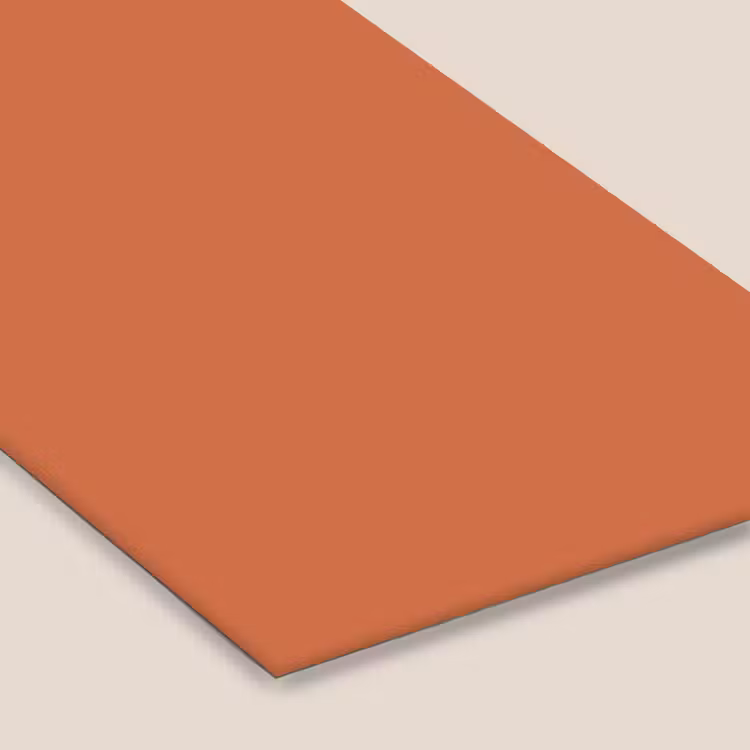 Classic - Terracotta - Oranje fotolijst zwart zonder passe partout klein 224 -zsfeer6