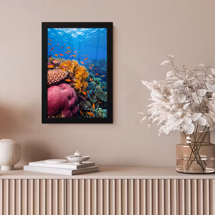 Koraal - Vissen - Oceaan - Natuur - Kleurrijk fotolijst zwart zonder passe partout klein -sfeer5