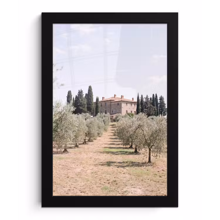 Framed Prints - Country house - olive tree - orchard - Landhuis - olijfboom - gaard fotolijst zwart zonder passe partout klein