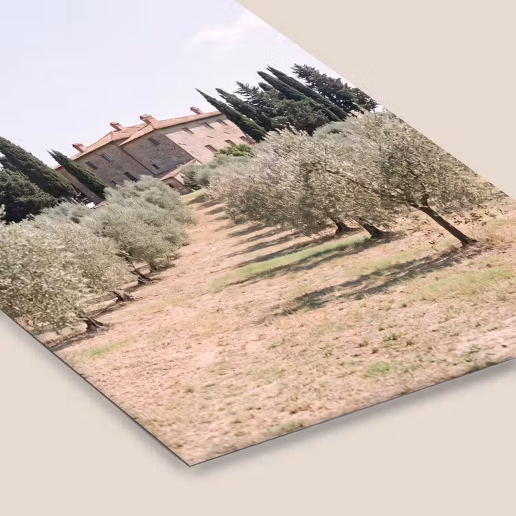 Framed Prints - Country house - olive tree - orchard - Landhuis - olijfboom - gaard fotolijst zwart zonder passe partout klein