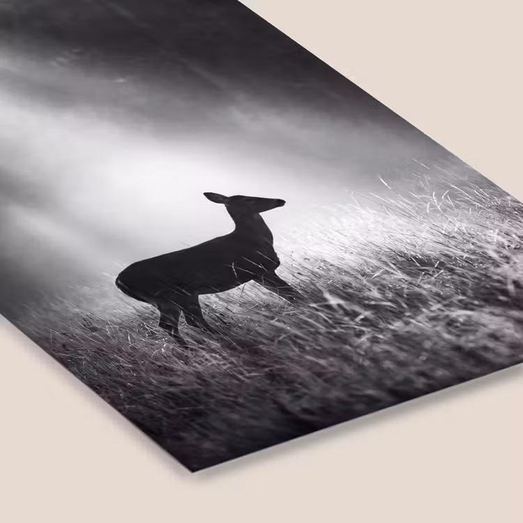 Hert - Bos - Zonnestralen - Zwart-wit - Natuur fotolijst zwart zonder passe partout klein -zsfeer6