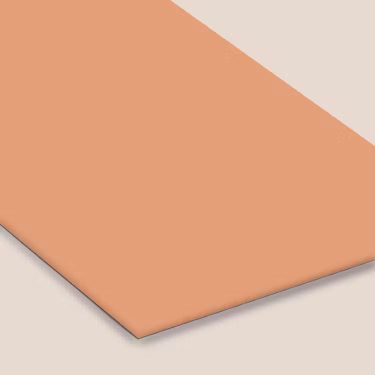 Desert - Coral - Koraal fotolijst zwart zonder passe partout klein 224 -zsfeer6
