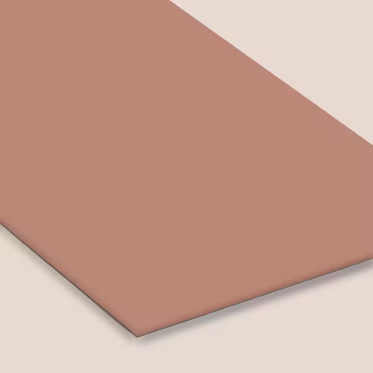 Earthy - Blusher - Roze fotolijst zwart zonder passe partout klein 224 -zsfeer6