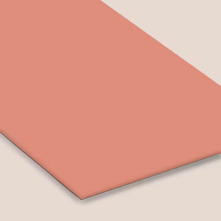 Earthy - Rose - Koraal fotolijst zwart zonder passe partout klein 224 -zsfeer6