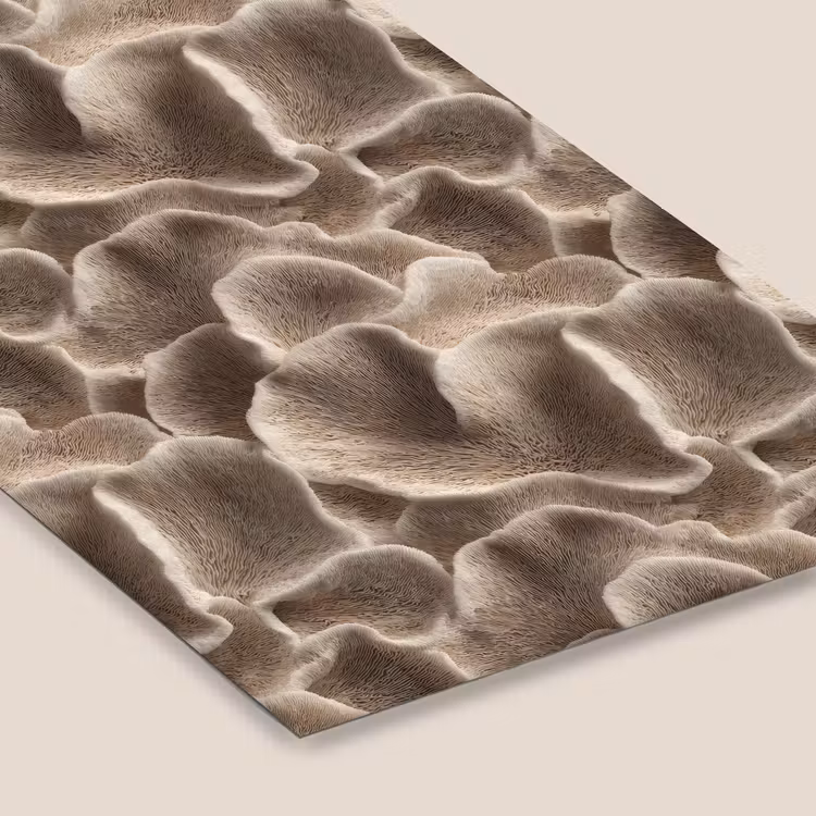 Waaiervorm - Beige - Vezel textuur fotolijst zwart zonder passe partout klein 224 -zsfeer6