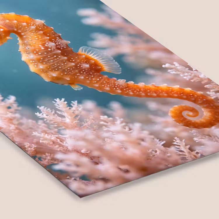 Vis - Koraal - Oceaan - Macro - Oranje fotolijst zwart zonder passe partout klein -zsfeer6