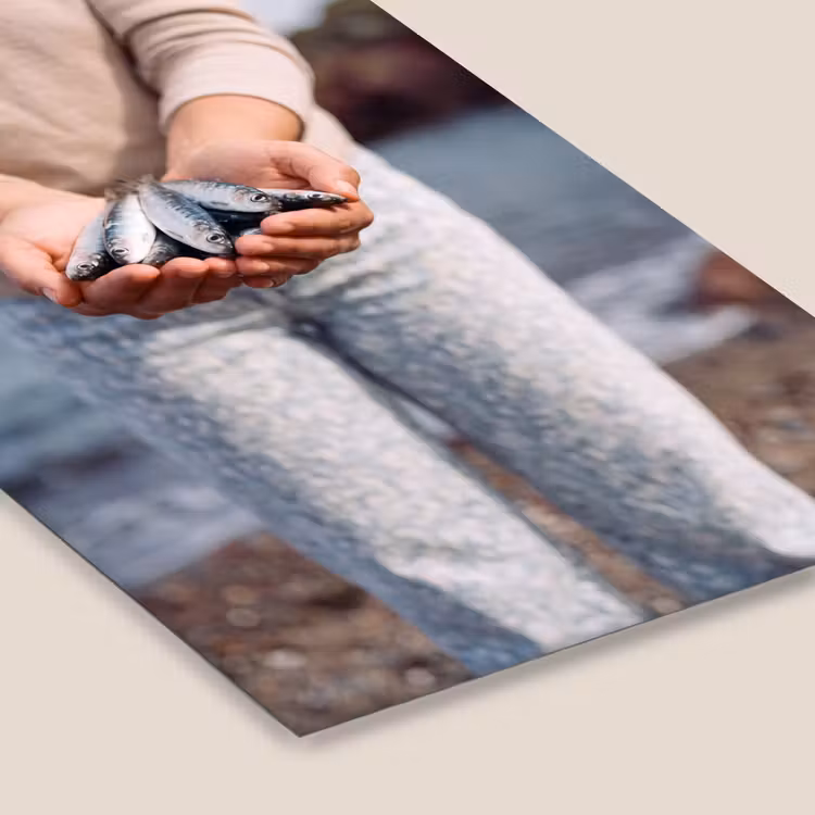 Framed Prints - Fish - Hands - Nature - Vis - Handen - Natuur fotolijst zwart zonder passe partout klein