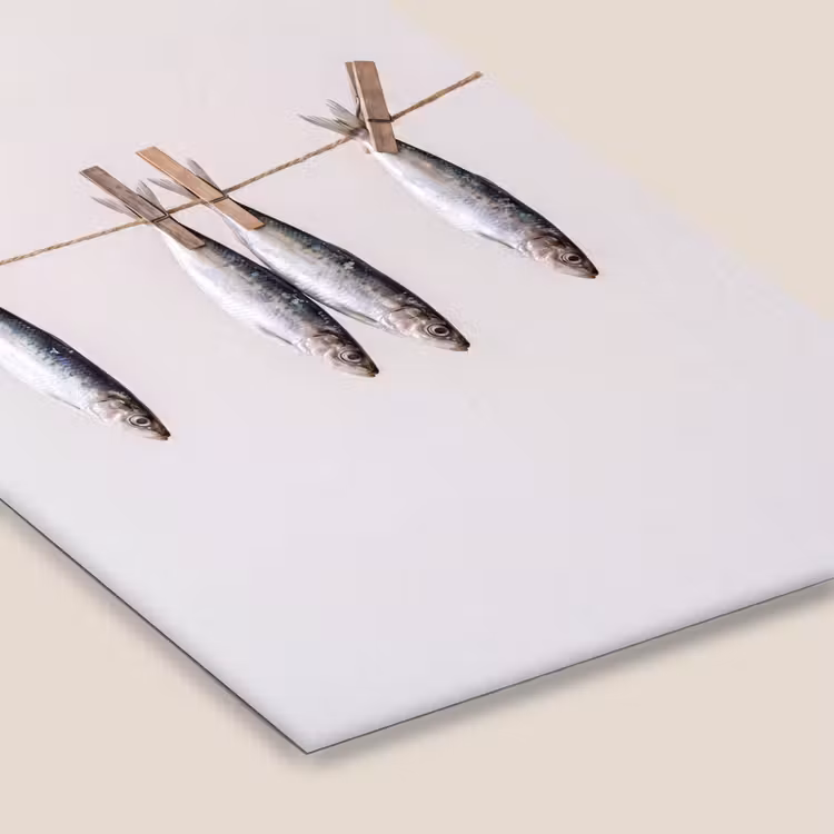Framed Prints - Fish - Hanging - Food - Vis - Hangend - Eten fotolijst zwart zonder passe partout klein