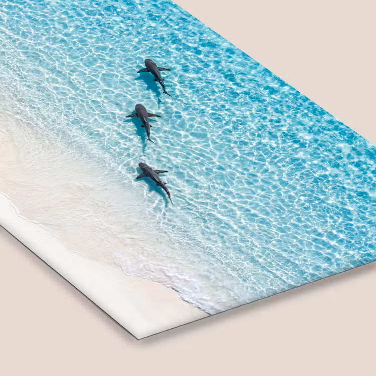 Vis - Oceaan - Strand - Turquoise - Natuur fotolijst zwart zonder passe partout klein -zsfeer6