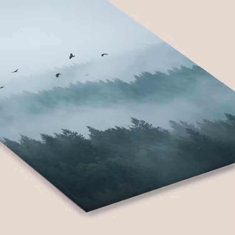 Bos - Mist - Vogels - Natuur - Groen fotolijst zwart zonder passe partout klein -zsfeer6