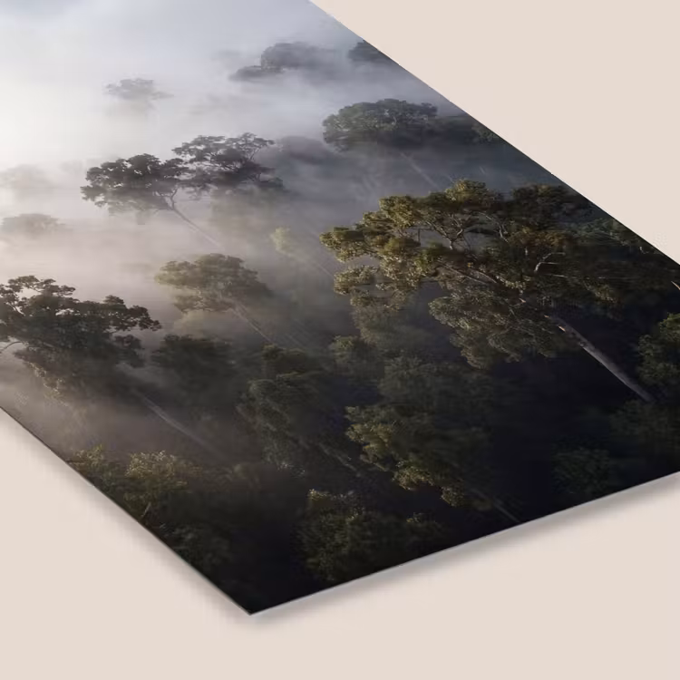 Bos - Mist - Natuur - Groen fotolijst zwart zonder passe partout klein -zsfeer6