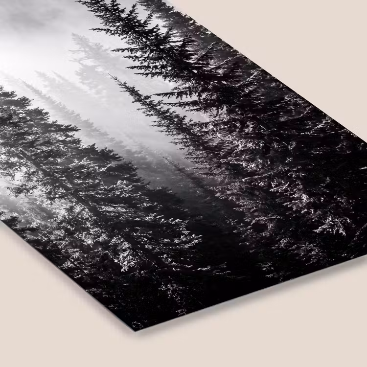 Bos - Mist - Winter - Monochroom - Natuur fotolijst zwart zonder passe partout klein -zsfeer6