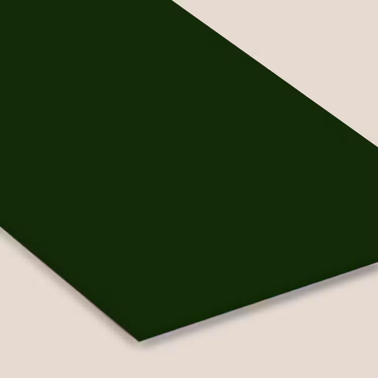 Forest - Green - Groen fotolijst zwart zonder passe partout klein 224 -zsfeer6