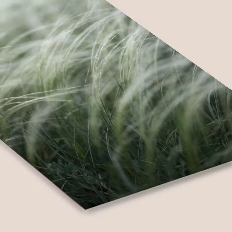 Gras - Wazig - Natuur - Groen - Zacht fotolijst zwart zonder passe partout klein -zsfeer6