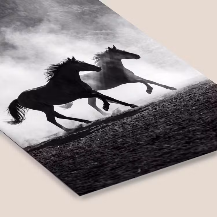 Paard - Ren - Stof - Zwart-wit - Dieren fotolijst zwart zonder passe partout klein -zsfeer6