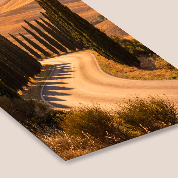 Landschap - Weg - Bomen - Natuur - Goud fotolijst zwart zonder passe partout klein -zsfeer6