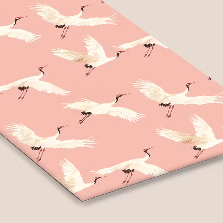 Modern - Kraanvogels - Roze fotolijst zwart zonder passe partout klein 224 -zsfeer6
