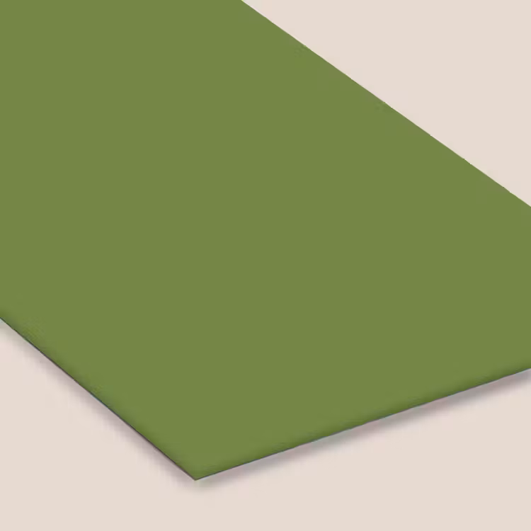 Moss - Green - Groen fotolijst zwart zonder passe partout klein 224 -zsfeer6