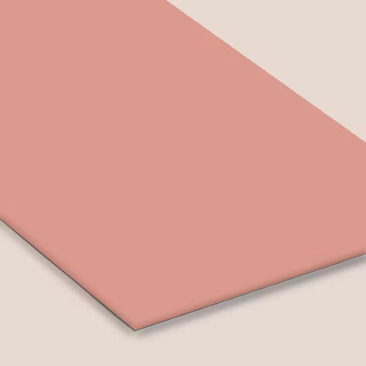 Muted - Salmon - Koraal fotolijst zwart zonder passe partout klein 224 -zsfeer6