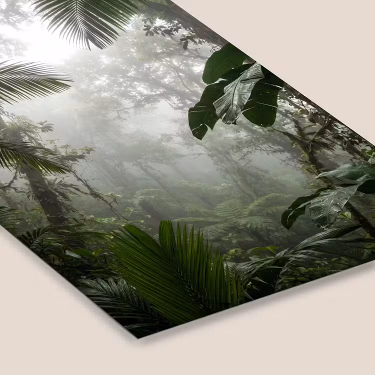 Natuur - Jungle - Mist - Groen - Bladeren fotolijst zwart zonder passe partout klein -zsfeer6